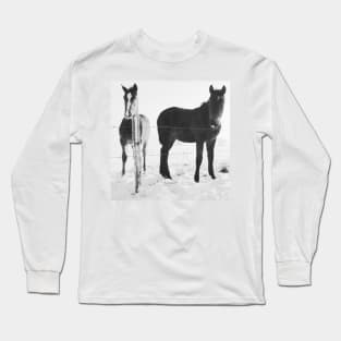 horses in snow Long Sleeve T-Shirt